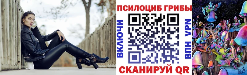 Псилоцибиновые грибы Cubensis  Краснокаменск 
